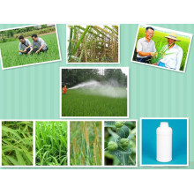 Sugarcane Wideleave Herbicide Weedcide Control Post Emergenceof Grass Weeds Ametryn